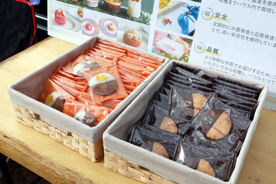 とよた元気まつりに参加しました - 写真3